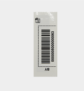 BG4A9487
